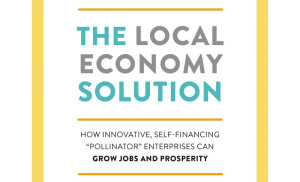 local-economy-solution-banner-300x182